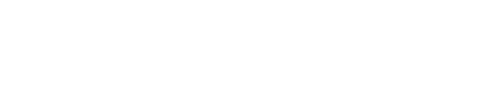 logo nanlite-white (1)